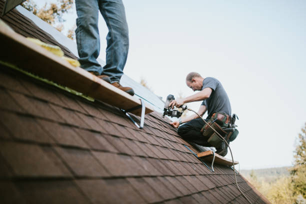 Quick and Trustworthy Emergency Roof Repair Services in Donna, TX