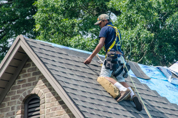Professional Roofing Contractor in Donna, TX